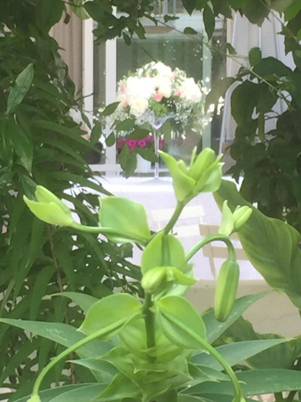 Grumo Appula Femily B&B Bed And Breakfast Di Puglia In - Bari מראה חיצוני תמונה